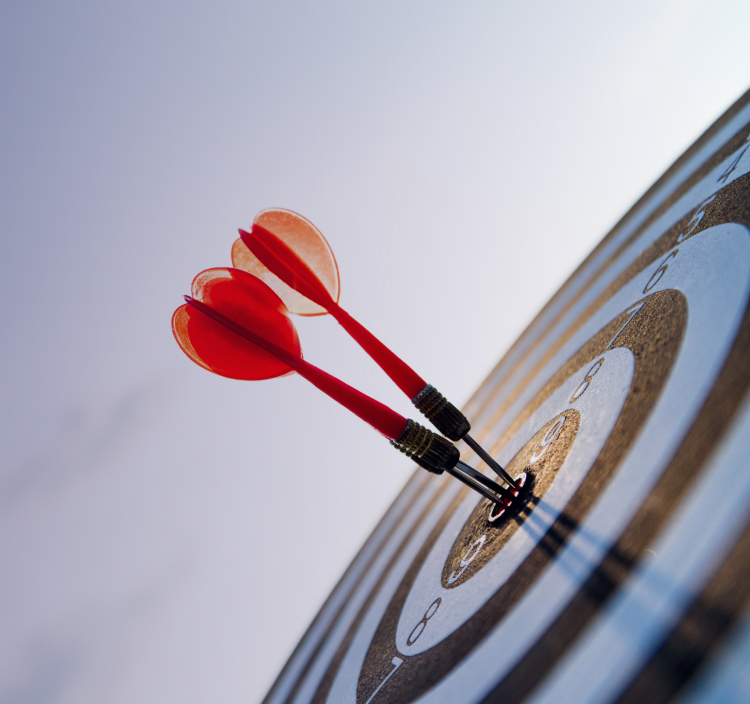 Private: Are Project Management Skills Key to the Success of Software Development?