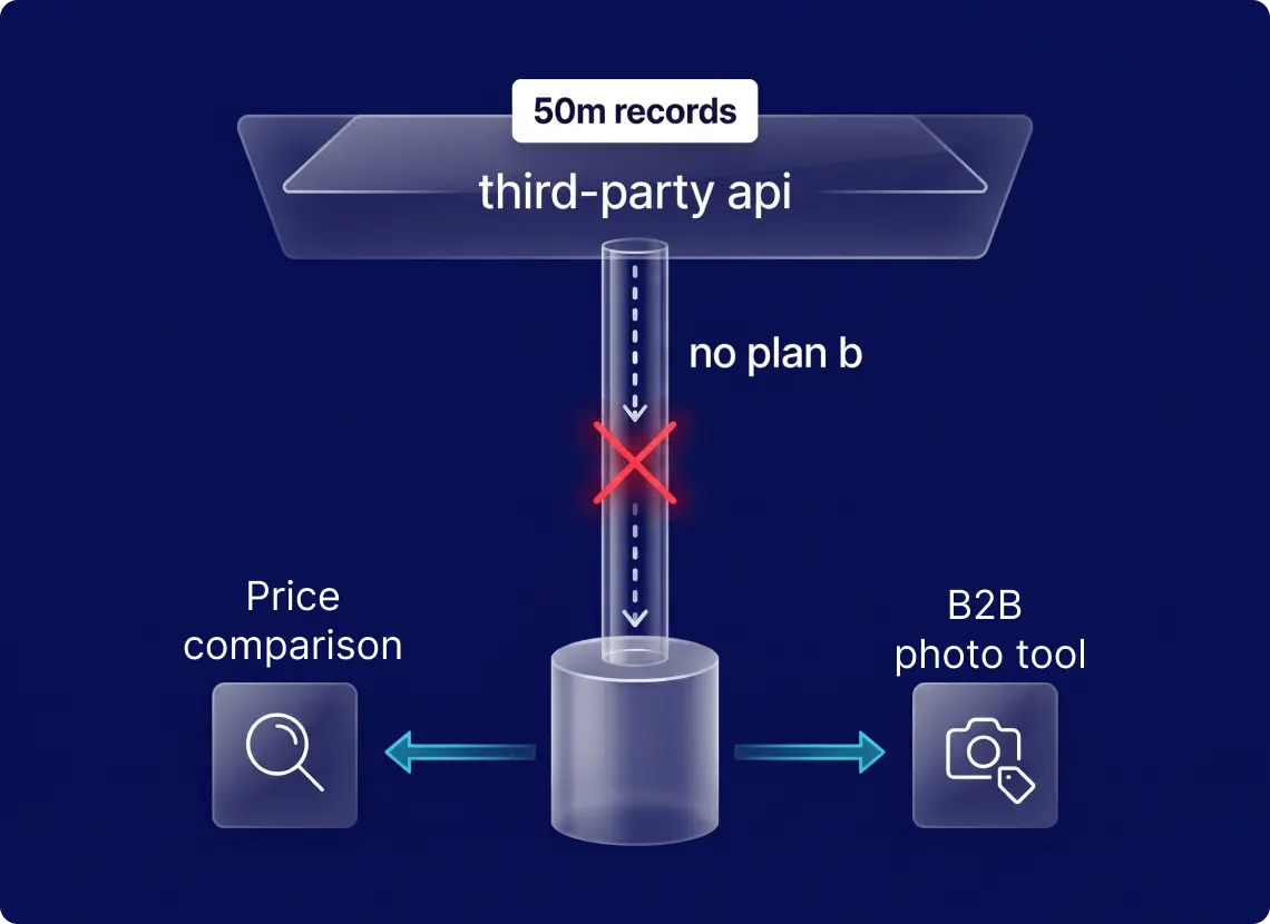 Single vendor API feeding fifty million records with no fallback